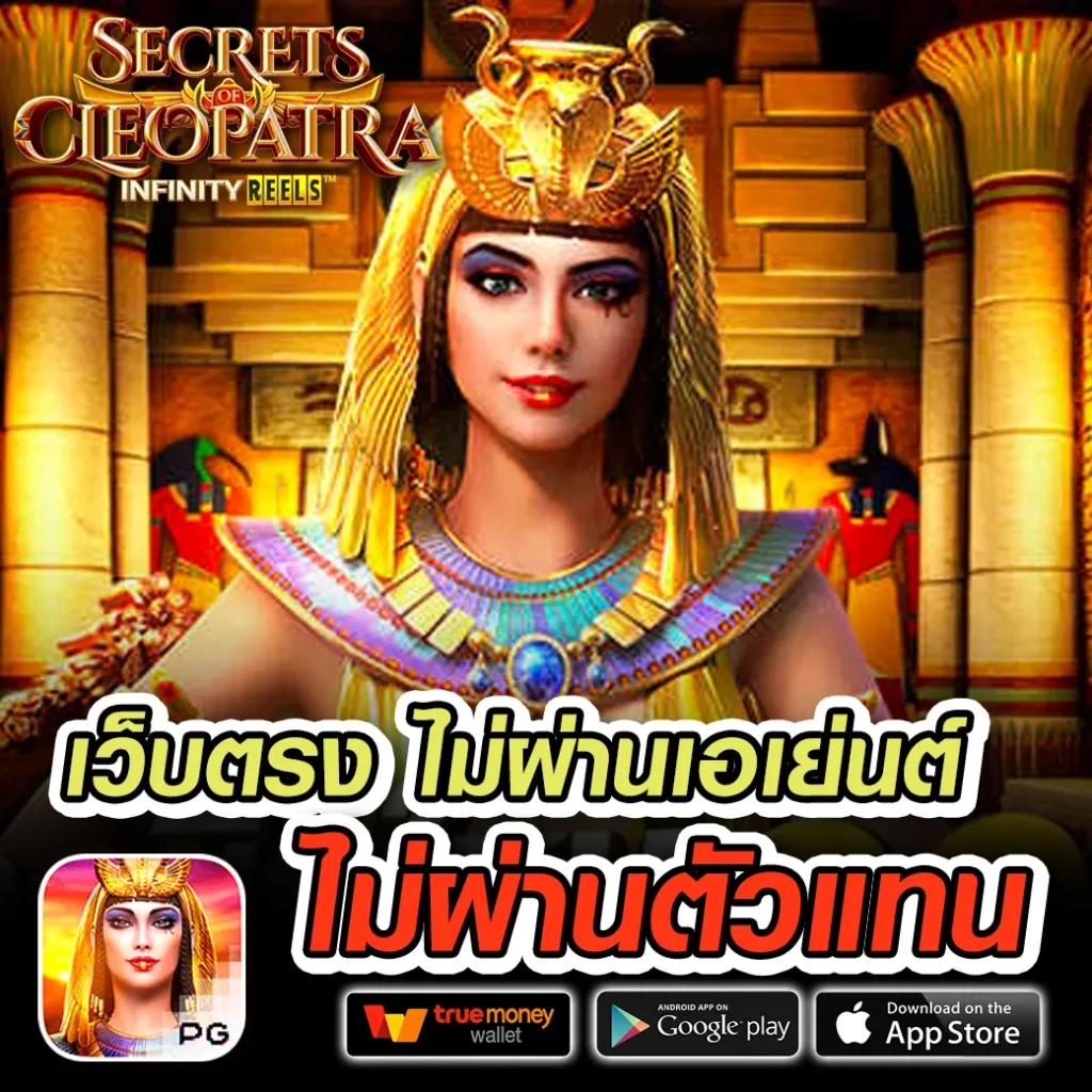 เว็บใหม่ ace-roman