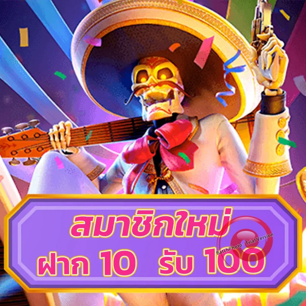 ace romanแตกบ่อย